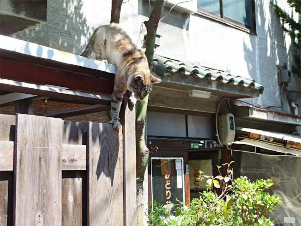 Nakaz Machiya , Osaka Umeda Apartman Japán